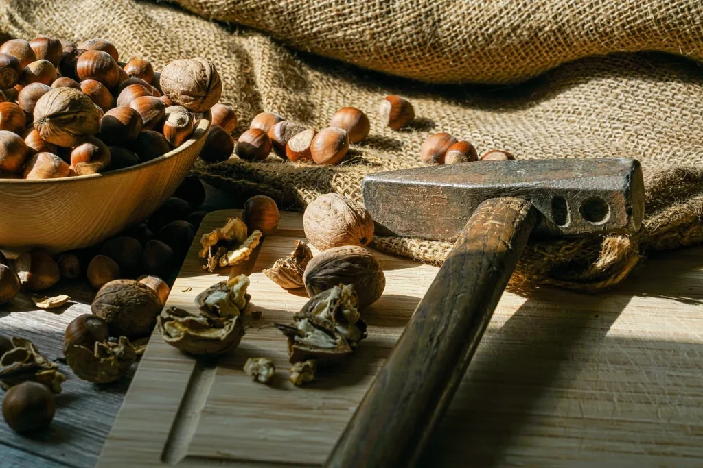 5 façons d’assurer la santé de vos félins